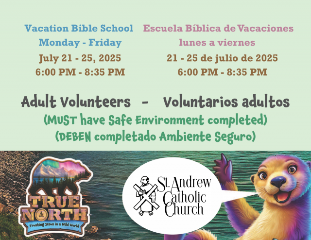 image-1012707-VBS_adult_banner-aab32.w640.png