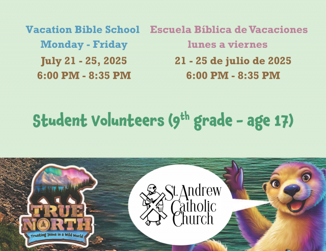 image-1012708-VBS_student_banner-c9f0f.w640.png
